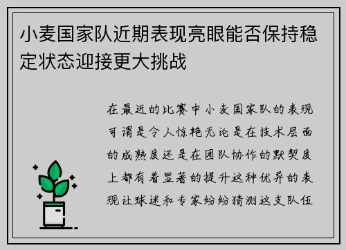 小麦国家队近期表现亮眼能否保持稳定状态迎接更大挑战