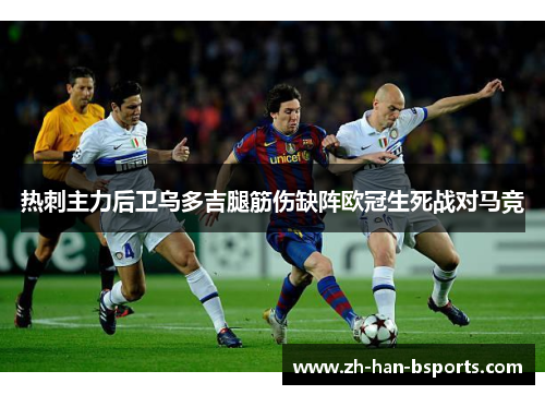 热刺主力后卫乌多吉腿筋伤缺阵欧冠生死战对马竞