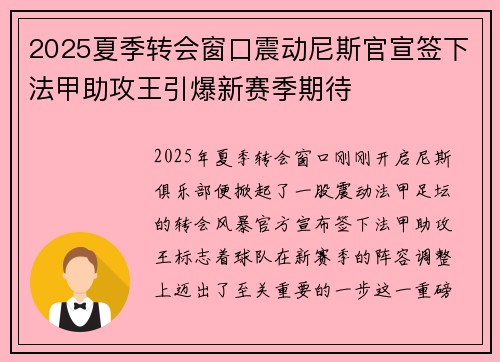 2025夏季转会窗口震动尼斯官宣签下法甲助攻王引爆新赛季期待